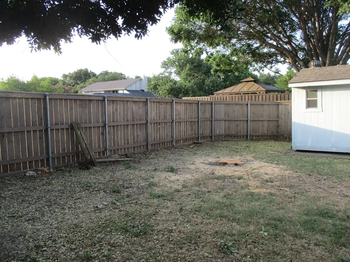 Cleared yard after professional tree removal in Donalds